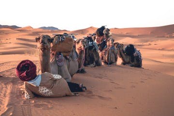 5 Days Desert Tour from Fes to Marrakech