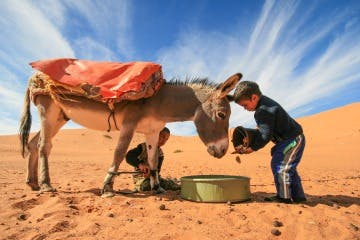Fes to Marrakech 3 Days Sahara Desert Tour