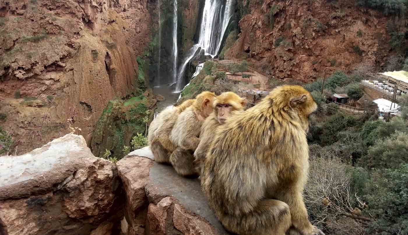 ouzoud waterfalls