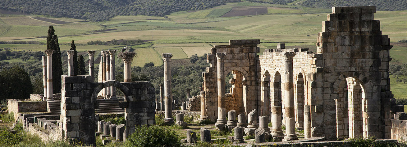 Volubilis Day Trip